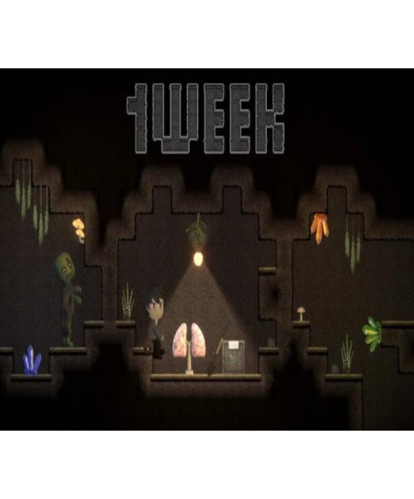 1WEEK Steam Key GLOBAL